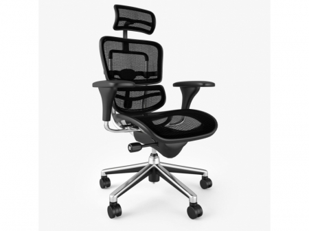 Scaun Ergohuman Classic PDH V1 - Negru Birou Directorial [4]