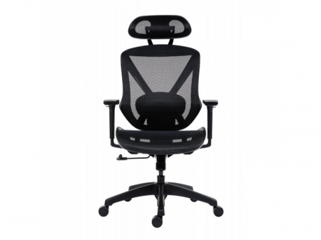 Scaun Ergonomic Aero Pro Birou Directorial [1]