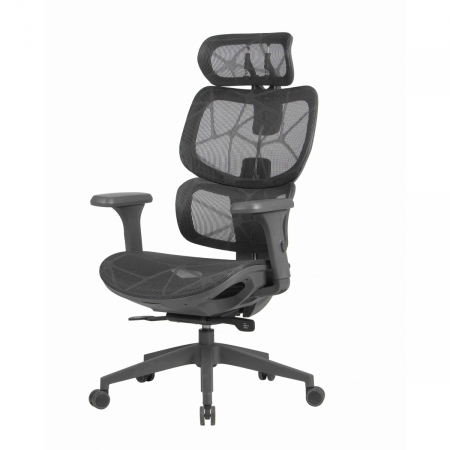 Scaun Ergonomic Humantech Birou Directorial [9]