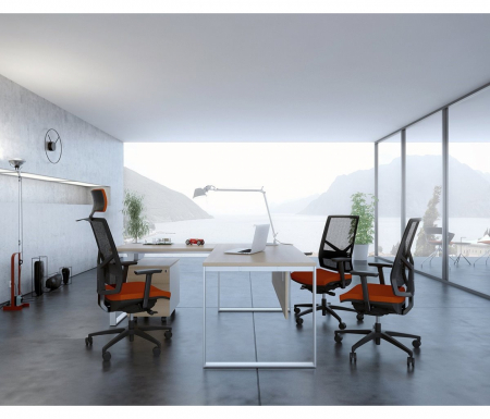 Scaun Ergonimic 1850 Syn Omnia Birou Directorial [14]