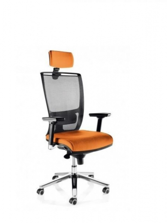 Scaune Ergonomice - Scaun Ergonomic Zafira Birou Directorial