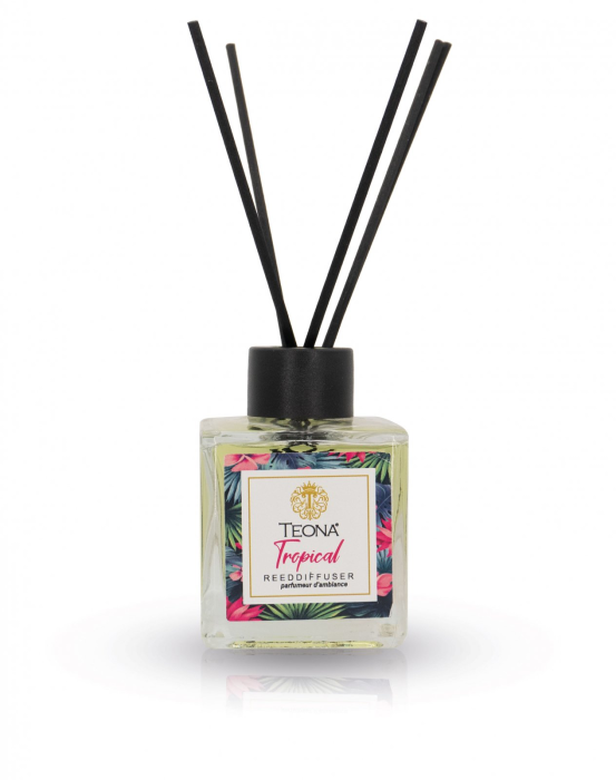 Odorizant de Camera cu Betisoare Tropical 110ml [1]