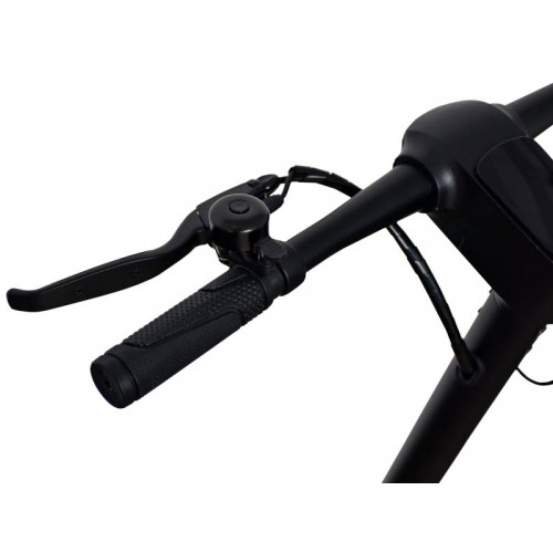 Trotineta electrica Rotakt te-400 [3]