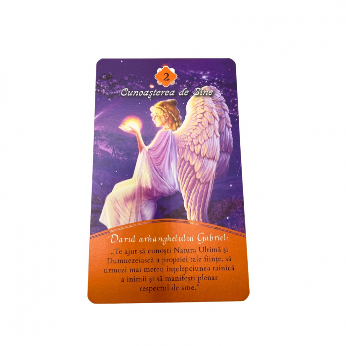 Angel Box Arhangheli [8]