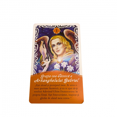Angel Box Arhangheli [6]
