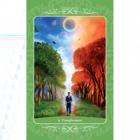 Angel Box Arhanghelul Rafael [4]