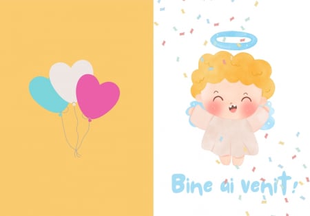 Felicitare "Bine ai venit" [1]