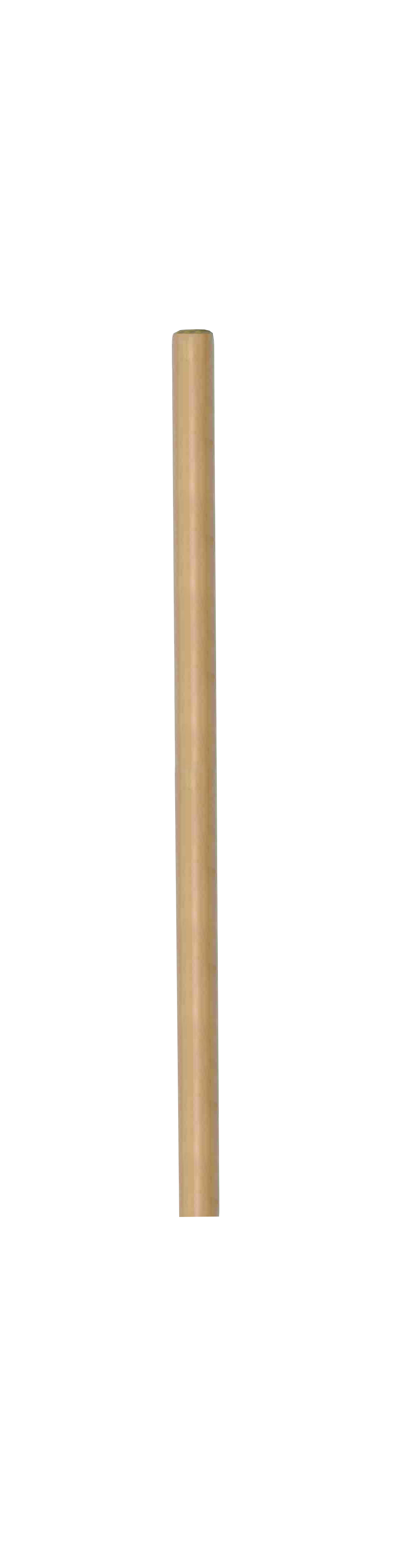 Coada de lemn 1200mm Ф28mm TG TopGarden [1]