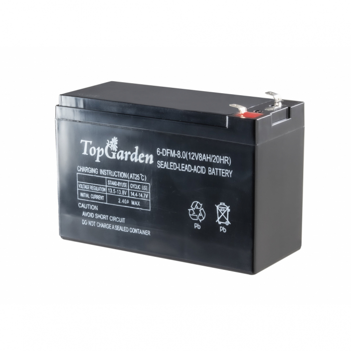 Acumulator 12V/8Ah pentru pulverizator electric TG TopGarden [2]