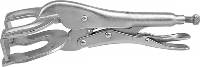 CLESTE MENGHINA TIP W VOREL [2]