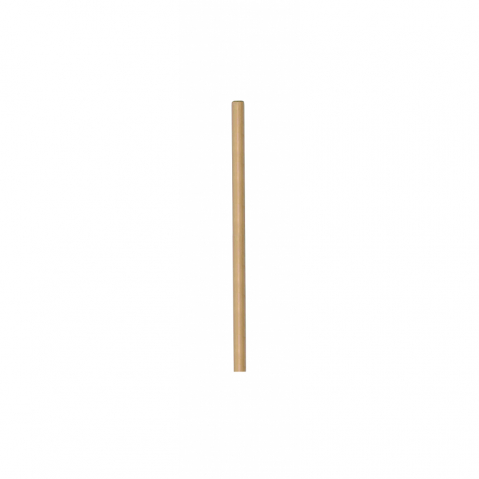 Coada de lemn 1200mm Ф38mm TG TopGarden [2]