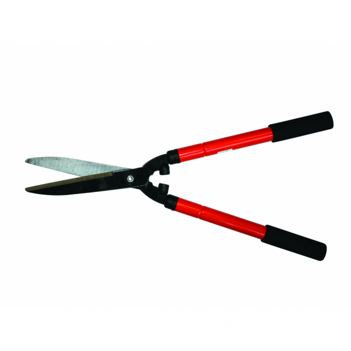 Forafeca gard viu 600-800mm TG TopGarden [2]