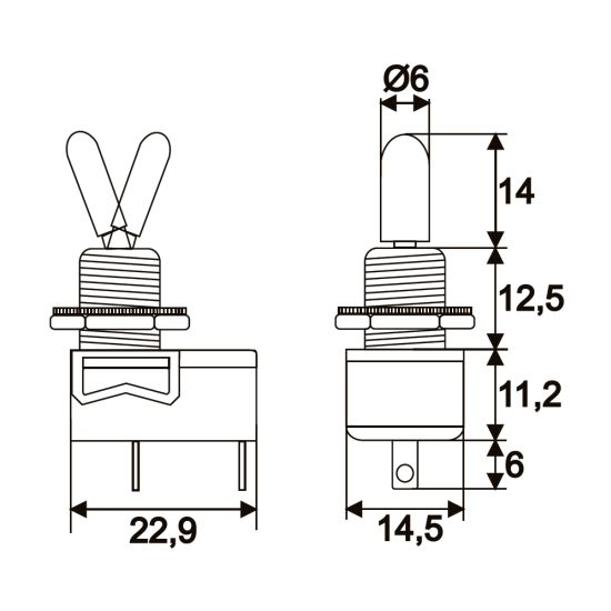 Intrerupatoare cu brat1 circuit3A-250VON-OFF [2]