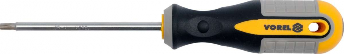 SURUBELNITA TORX T10X100MM VOREL [2]