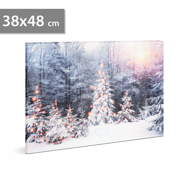 Tablou cu LED - peisaj de iarna - LED - cu agatatoare, 2 baterii AA - 38 x 48 cm (58474)