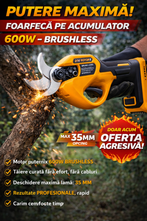 Scule Electrice - FOARFECĂ DE GRĂDINĂ PE ACUMULATOR 600W – Taiere max 35 mm