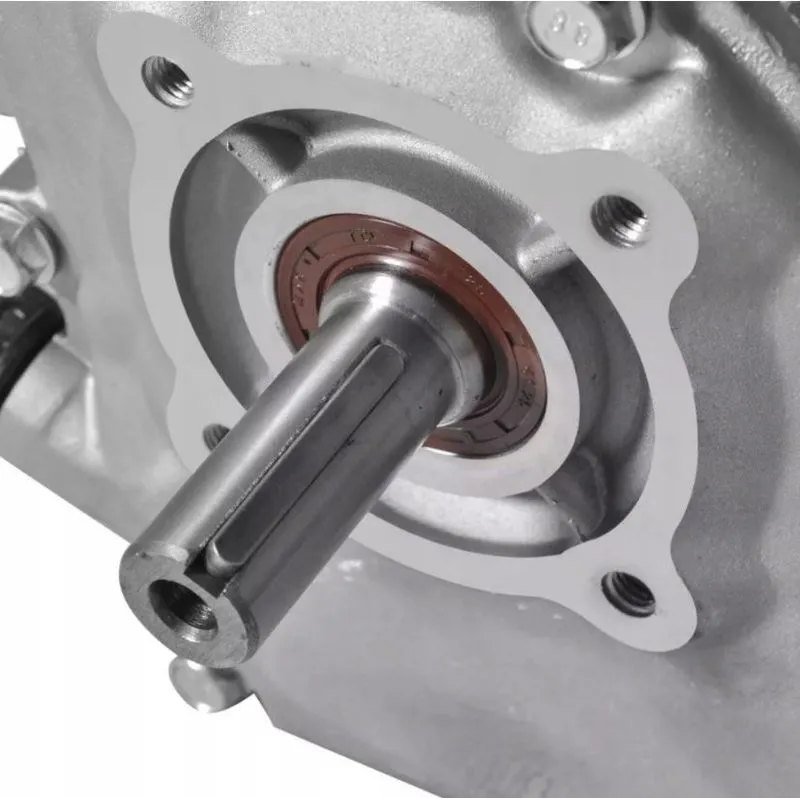 MOTOR BENZINA UNIVERSAL GTX-200, 7 CP, 4 TIMPI [2]