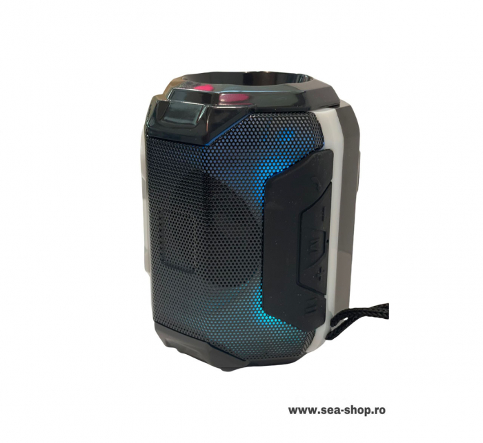 Boxa Portabila Wireless cu Bluetooth si snur, culoare negru [2]