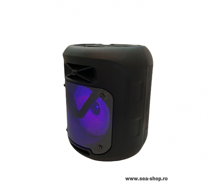 Boxa Portabila Wireless cu Bluetooth, KTS 1211 [5]