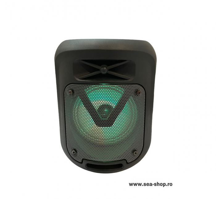 Boxa Portabila Wireless cu Bluetooth, KTS 1211 [2]