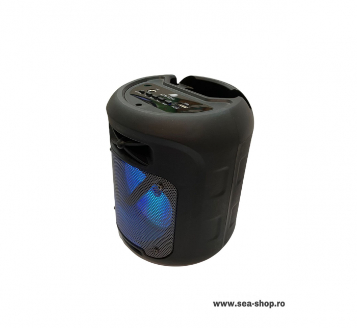 Boxa Portabila Wireless cu Bluetooth, KTS 1211 [4]