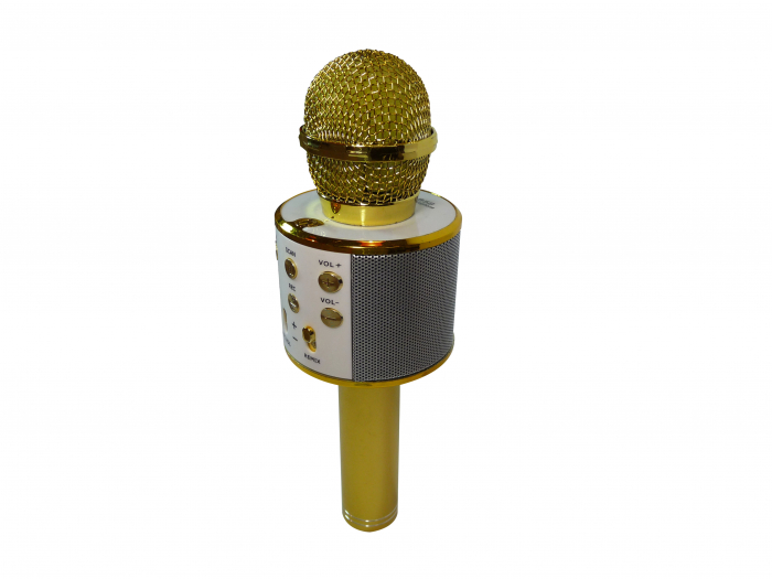 Microfon Karaoke Wireless [2]
