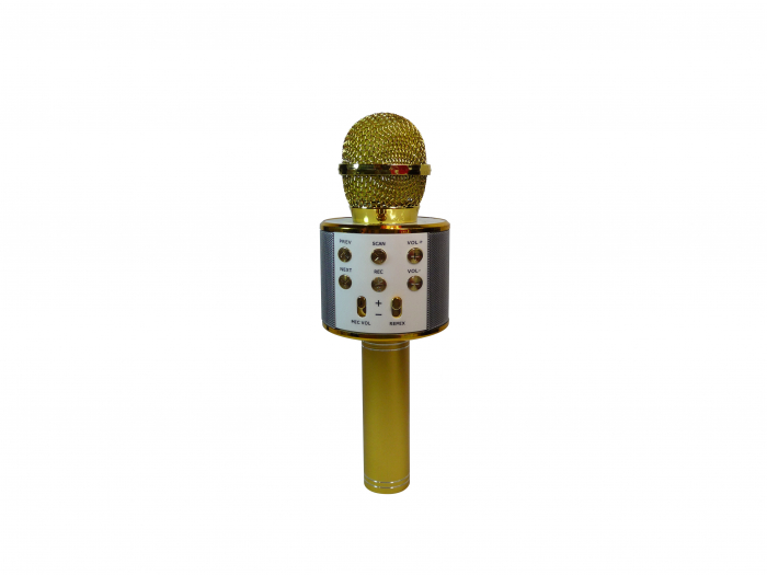 Microfon Karaoke Wireless [1]