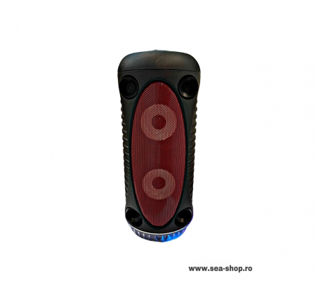 Sisteme Audio si Boxe Portabile - Boxa Activa Portabila cu lumini, model ZQS-4226