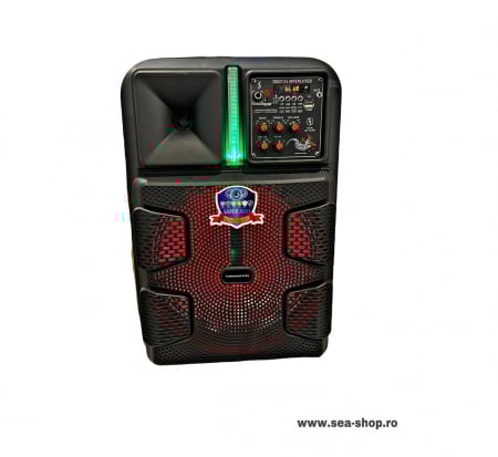 Toate Produsele - Boxa Portabila 12 inch, 15 W, cu microfon wireless si telecomanda