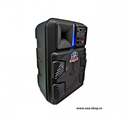 Boxa Portabila 12 inch, 15 W, cu microfon wireless si telecomanda [1]