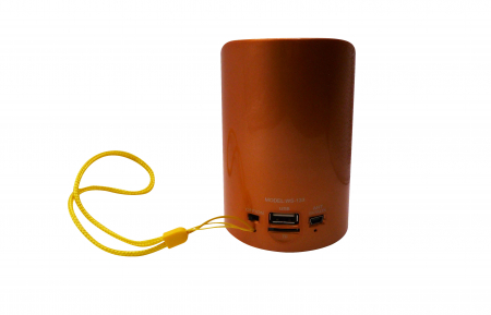 Boxa Portabila cu bluetooth si snur, galben-auriu,  WS 133 [1]