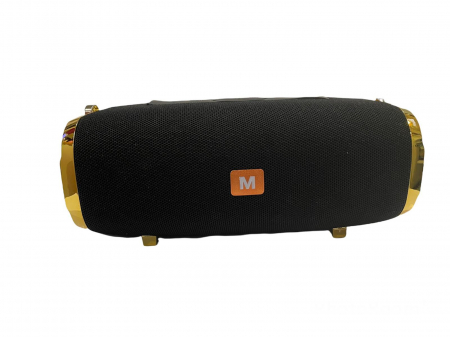 Boxa Portabila Wireless cu Bluetooth si Radio FM [1]