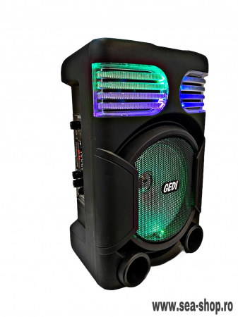 Toate Produsele - Boxa Audio Portabila cu Bluetooth, telecomanda si microfon karaoke