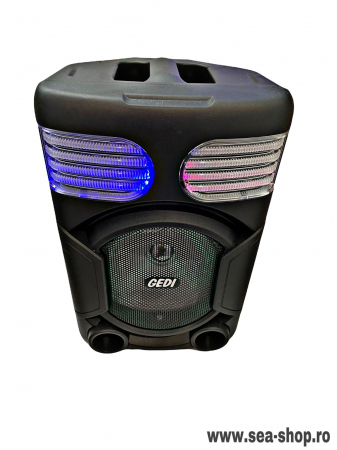 Boxa Audio Portabila cu Bluetooth, telecomanda si microfon karaoke [1]