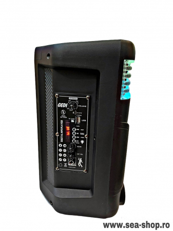 Boxa Audio Portabila cu Bluetooth, telecomanda si microfon karaoke [3]