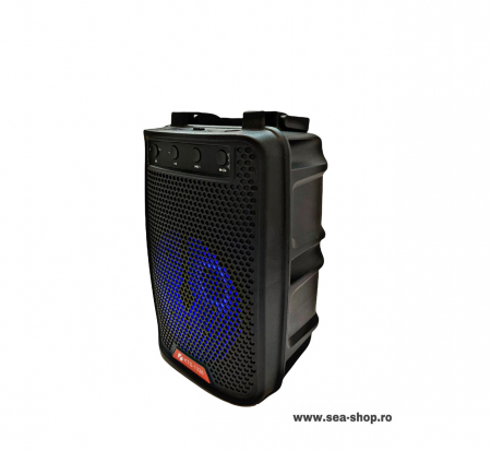 Boxa Portabila cu maner, model KTS 1338, Radio, mp3, USB [1]