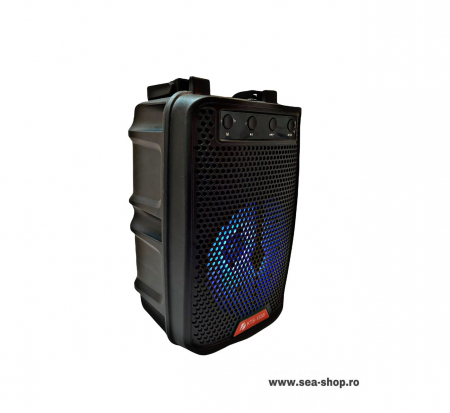 Boxa Portabila cu maner, model KTS 1338, Radio, mp3, USB [2]