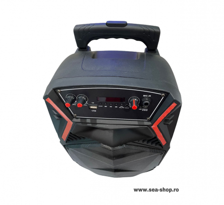Boxa audio Bluetooth, tip troller, cu microfon si telecomanda [1]