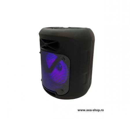 Boxa Portabila Wireless cu Bluetooth, KTS 1211 [4]