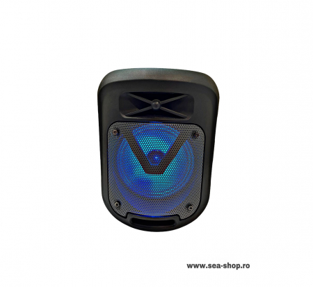 Toate Produsele - Boxa Portabila Wireless cu Bluetooth, KTS 1211