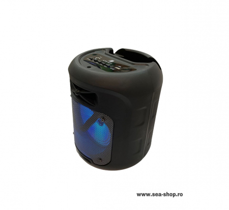 Boxa Portabila Wireless cu Bluetooth, KTS 1211 [3]