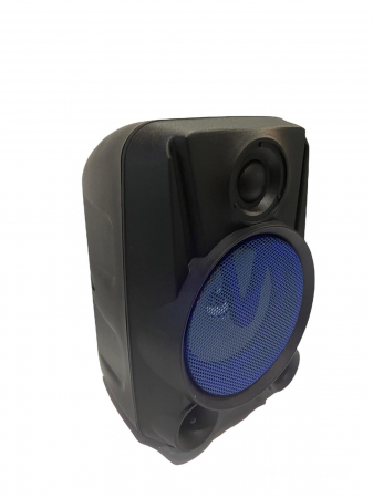 Boxa Portabila Wireless Taisiho TO-467S [7]