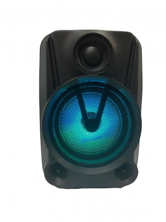Boxa Portabila Wireless Taisiho TO-467S [1]