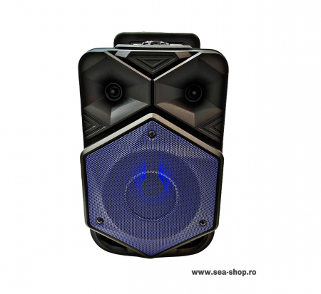 Toate Produsele - Boxa Portabila tip Troller 6,5 inch, cu lumini albastre, microfon, telecomanda si maner