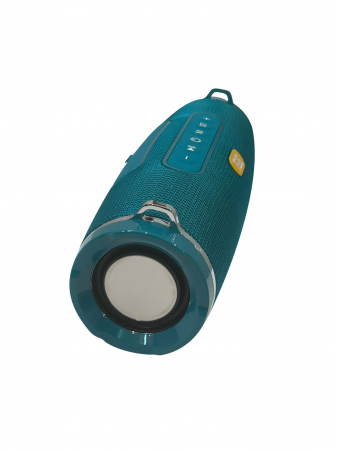 Boxa Portabila Wireless TG 176 [1]
