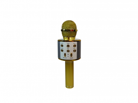 Toate Produsele - Microfon Karaoke Wireless