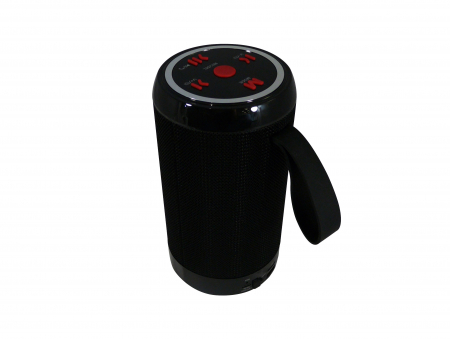 Sisteme Audio si Boxe Portabile - Boxa Portabila WS-1812 Wireless