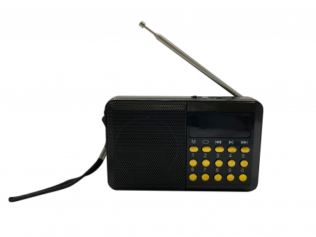 Toate Produsele - Mini Radio Digital cu butoane, negru cu butoane aurii