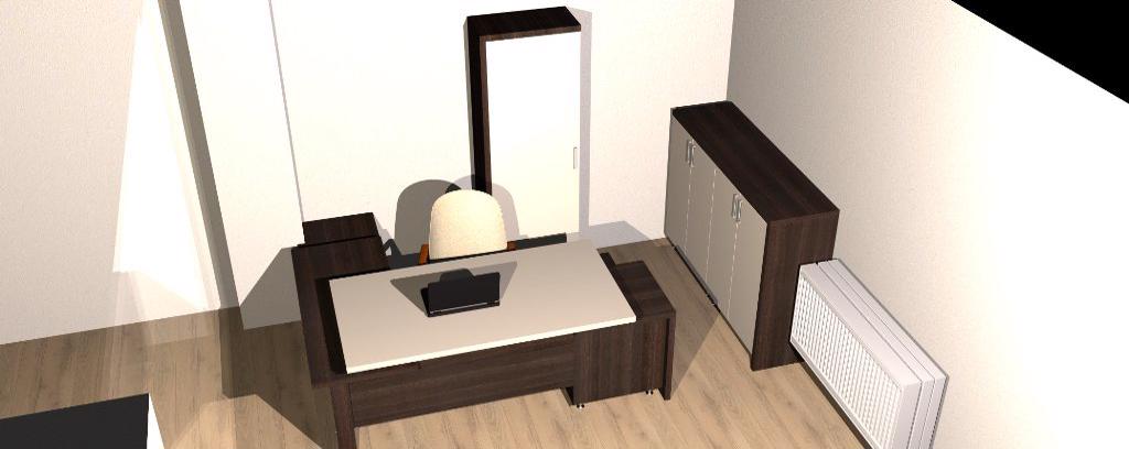 Galerie imagini