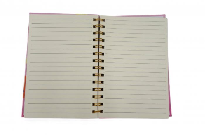 Agenda cu spirala și model pop-it dinozaur, colorata, 20 cm [3]